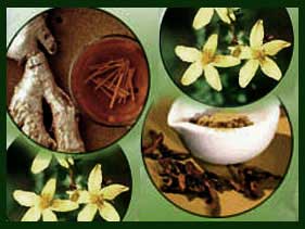 herbal medicine - Marin County | Corte Madera, Fairfax, Larkspur, Mill Valley, Novato, San Anselmo, San Rafael